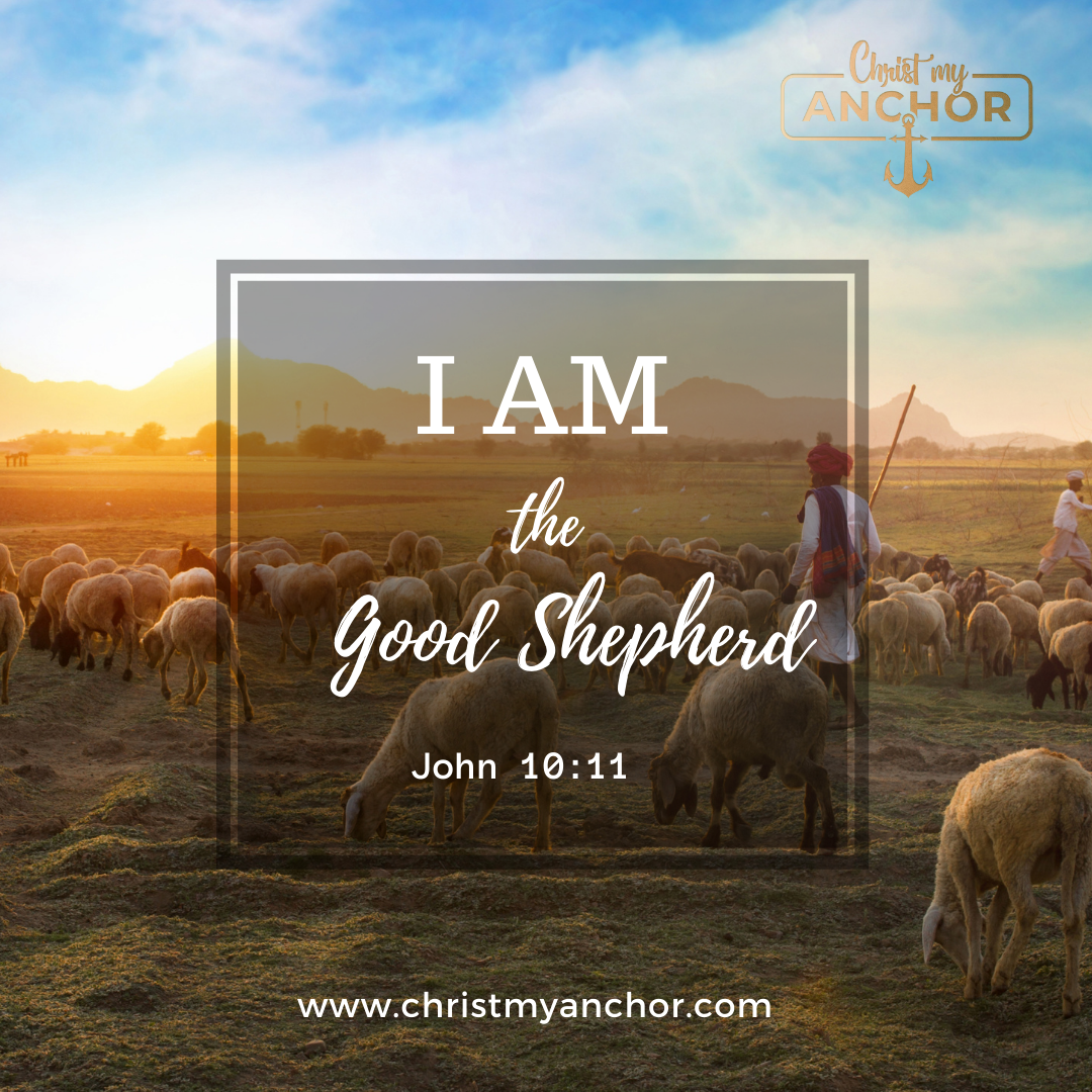 I AM: The Door of The Sheep & The Good Shepherd