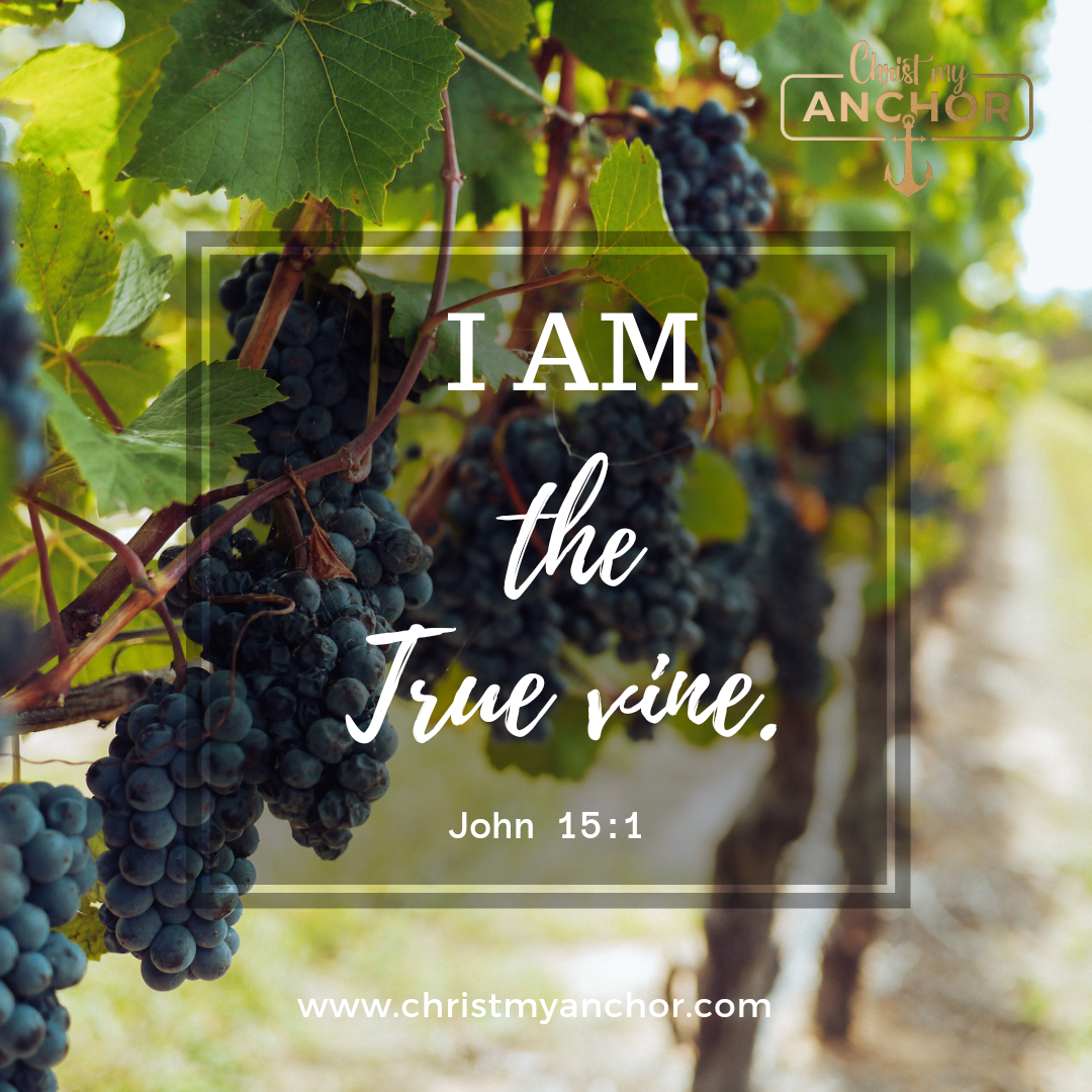 NOURISHED AND SUSTAINED #Abide